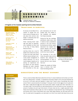 subsistence economies