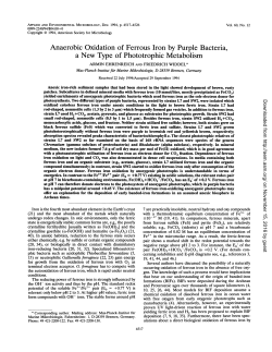 Anaerobic Oxidation of Ferrous Iron by Purple Bacteria, a New Type