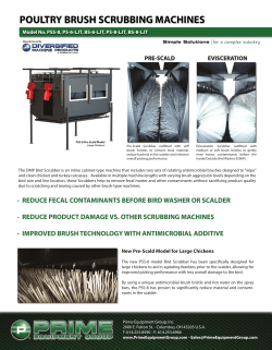 poultry brush scrubbing machines