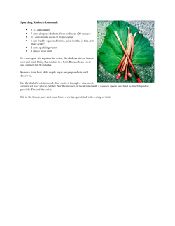 Sparkling Rhubarb Lemonade &bull; 3 1/2 cups water &bull; 5