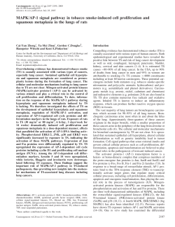 MAPK/AP-1 signal pathway in tobacco smoke