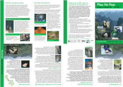 Phou Hin Poun NPA leaflet