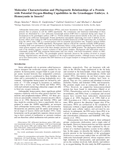 Molecular Characterization and Phylogenetic Relationships of a