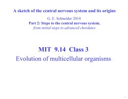 9.14 Lecture 3: Evolution of Multicellular Organisms Notes
