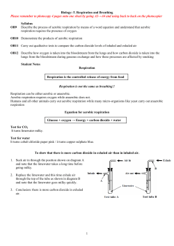 5. Respiration and Breathing