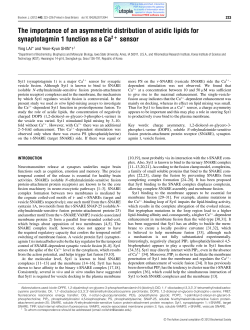 The importance of an asymmetric distribution of acidic lipids for