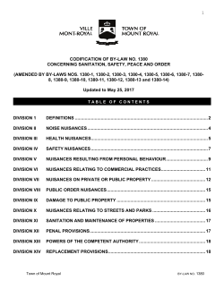 1380 - Sanitation, Safety, Peace and Order By-Law