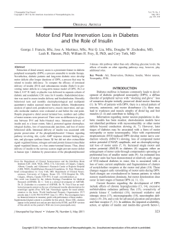 Motor End Plate Innervation Loss in Diabetes and the Role of Insulin