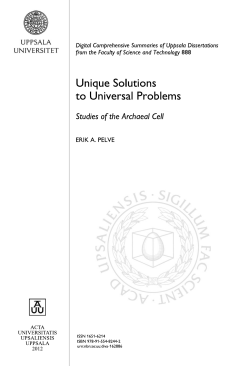 Unique Solutions to Universal Problems: Studies of the Archaeal Cell