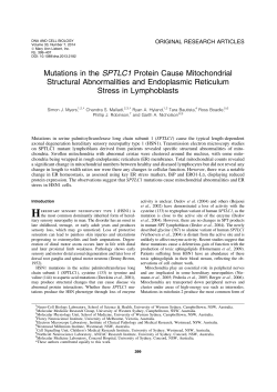 Mutations in the SPTLC1 Protein Cause Mitochondrial Structural