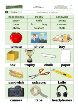 tomato photo tray box trophy chalk paper sandwich scissors knife