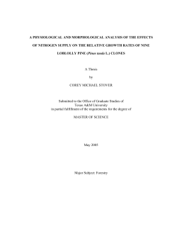 A physiological and morphological analysis of the effects of nitrogen