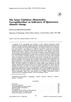 The Asian Colobinae (Mammalia