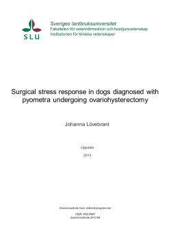 Surgical stress response in dogs diagnosed with pyometra