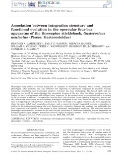 Association between integration structure and functional evolution in