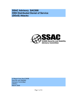 SSAC Advisory SAC008 DNS Distributed Denial of Service