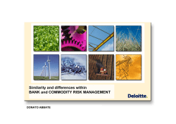 Similarity and differences within BANK and COMMODITY RISK