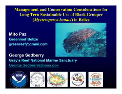 Management and Conservation Considerations for Long Tern