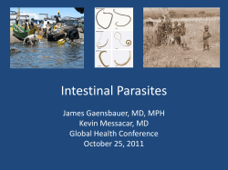 Intestinal Parasites