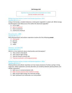 Quiz-Cell Energy Teacher Version