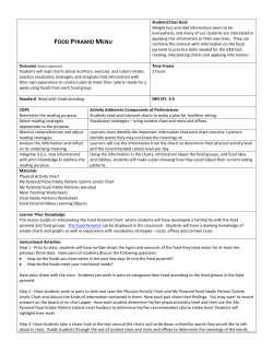 FOOD PYRAMID MENU