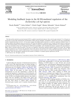 Modeling feedback loops in the H-NS