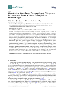 Full-Text PDF