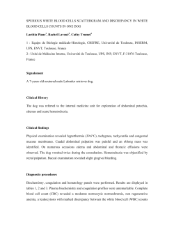 SPURIOUS WHITE BLOOD CELLS SCATTERGRAM AND