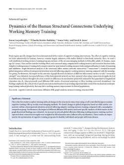 Dynamics of the Human Structural Connectome Underlying Working