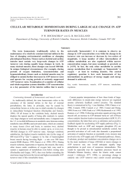 cellular metabolic homeostasis during large