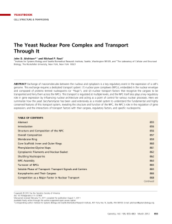 The Yeast Nuclear Pore Complex and Transport Through It