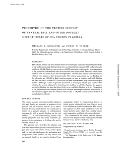 properties of the protein subunit of central-pair and outer