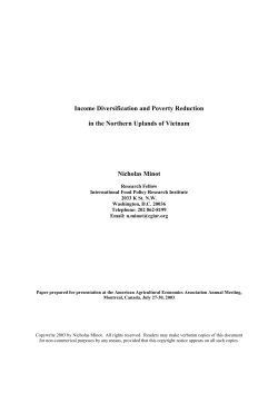 Analysis of the Vietnam Living Standards Surveys