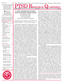 A "hot-system/cool-system" view of memory