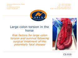Large colon torsion in the horse