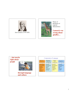 Lamarck was wrong about giraffes&hellip; &hellip;but maybe right about