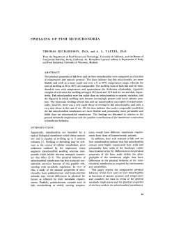 swelling of fish mitochondria