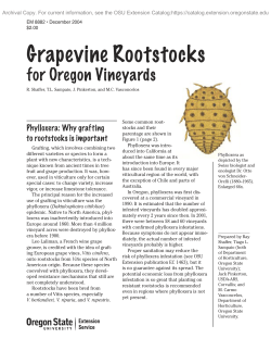 Grapevine Rootstocks for Oregon Vineyards, EM 8882 (Oregon