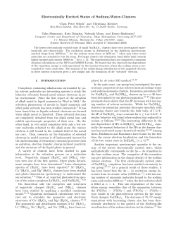 Electronically Excited States of Sodium-Water - Max-Born