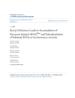Rex1p Deficiency Leads to Accumulation of Precursor Initiator tRNA