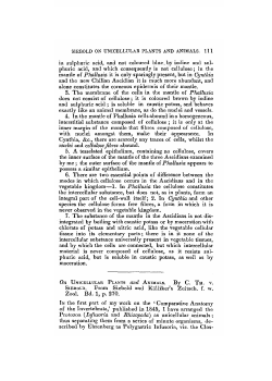 SIEBOLD ON UNICELLULAR PLANTS AND ANIMALS. I l l in