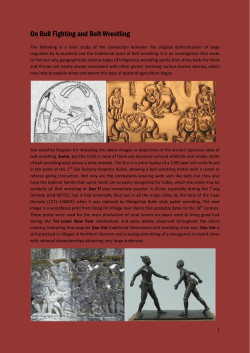 On Bull Fighting and Belt Wrestling