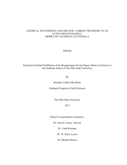 CHEMICAL WEATHERING AND ORGANIC CARBON TRANSPORT
