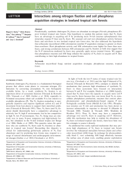 Interactions among nitrogen fixation and soil phosphorus acquisition