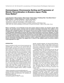 Homoeologous Chromosome Sorting and Progression of Meiotic