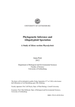 Phylogenetic Inference and Allopolyploid Speciation