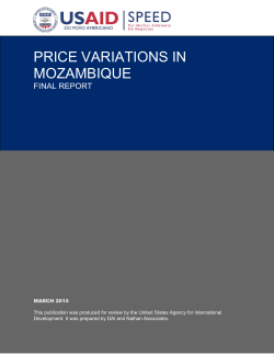 price variations in mozambique