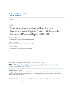 Estimation of Juvenile Striped Bass Relative Abundance in the