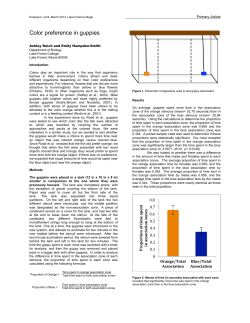 Color preference in guppies