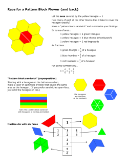 Race for a Pattern Block Flower (and back)
